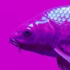 Purple Fish