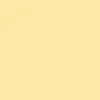 Yellow Pastel